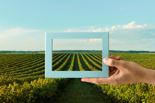 GGB Holding: Building the Cities of the Future